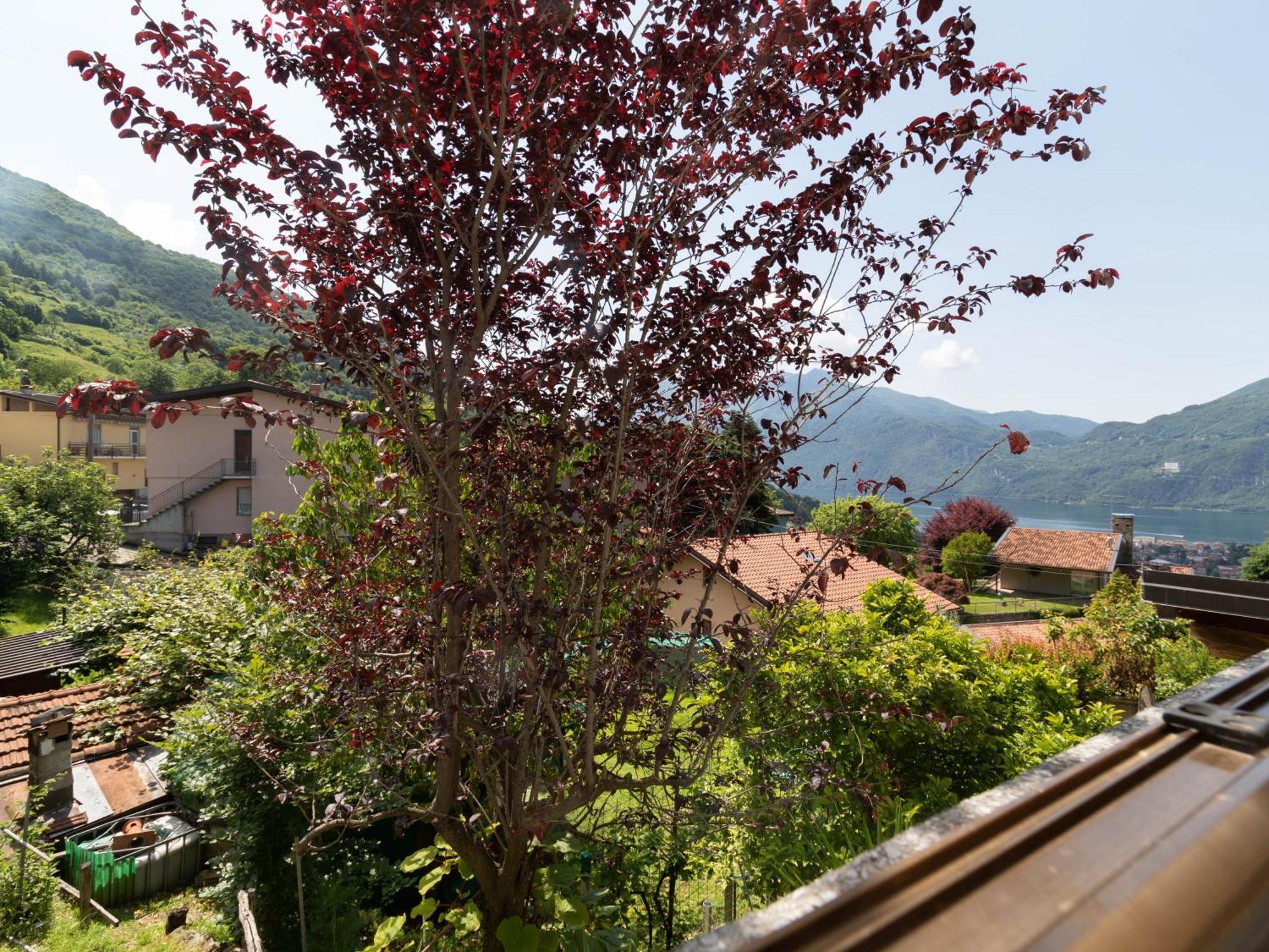 Mamma Ciccia Holiday Home - Mountains & Lake Mandello del Lario Exterior foto